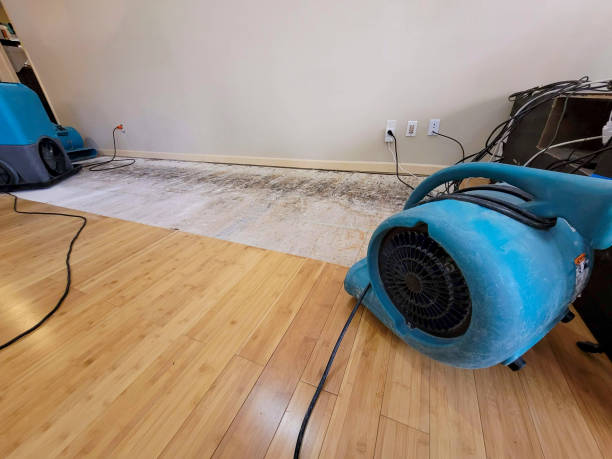 Professional Sewage Cleanup technician working in Somerton, AZ